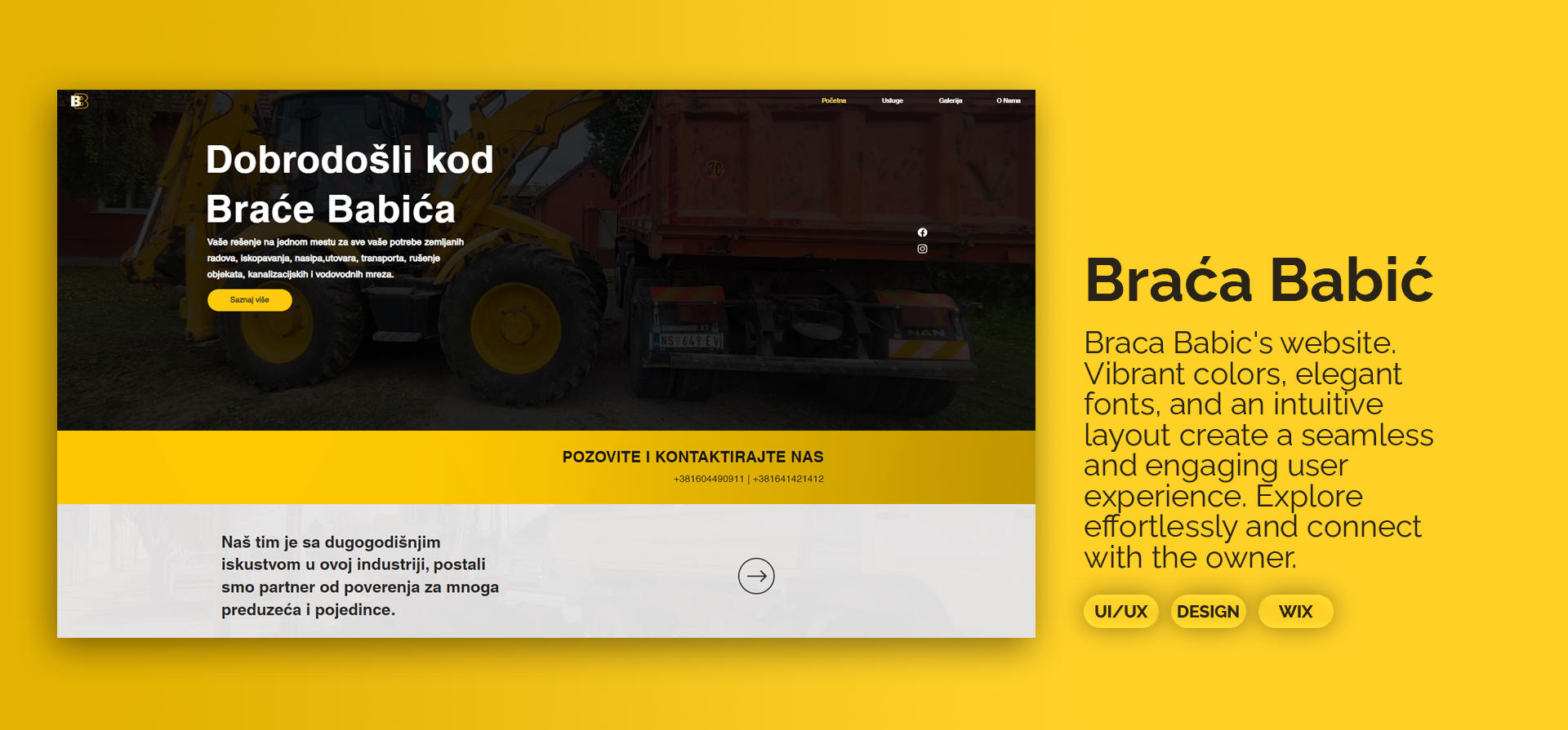 Braca Babic